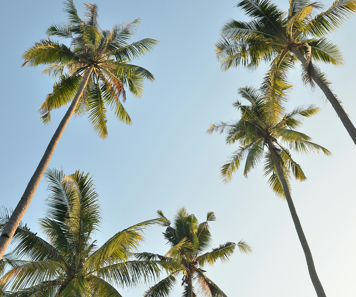 CF_AboutCF_v3_03-14-24