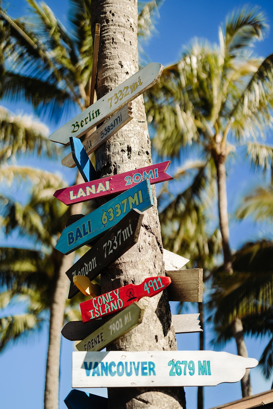 RC_Maui_0008_websize (1)